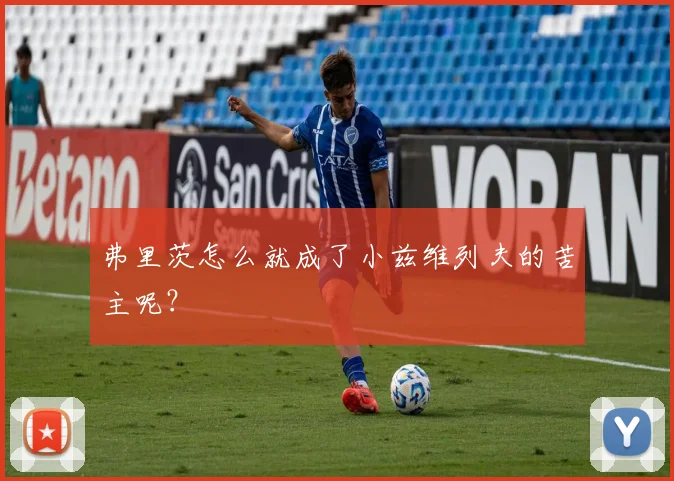 弗里茨怎么就成了小兹维列夫的苦主呢？