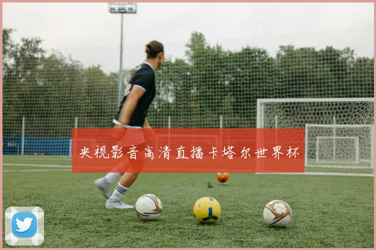 央视影音高清直播卡塔尔世界杯
