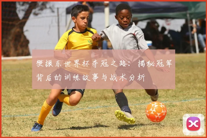 樊振东世界杯夺冠之路:揭秘冠军背后的训练故事与战术分析