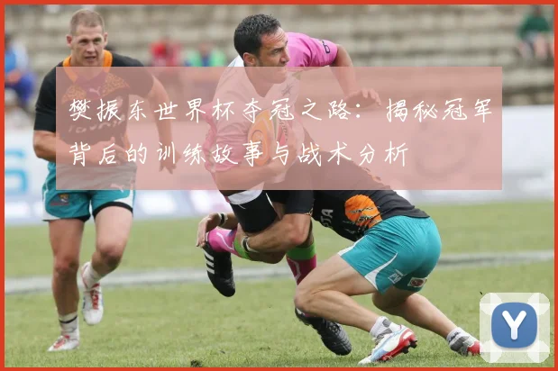 樊振东世界杯夺冠之路：揭秘冠军背后的训练故事与战术分析