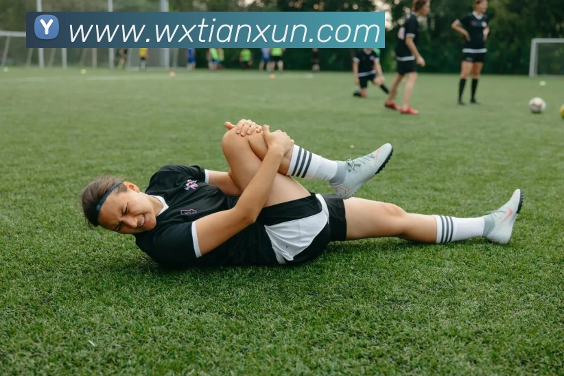 hth网址平台生态图